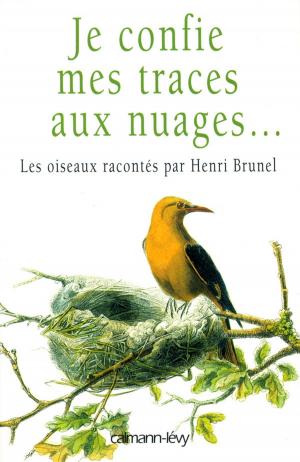Cover of the book Je confie mes traces aux nuages... by Marie-Bernadette Dupuy