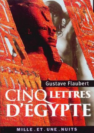 Cover of the book Cinq lettres d'Égypte by Jacek Lidwin