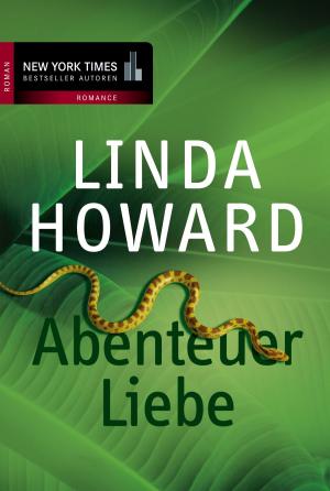bigCover of the book Abenteuer Liebe by 