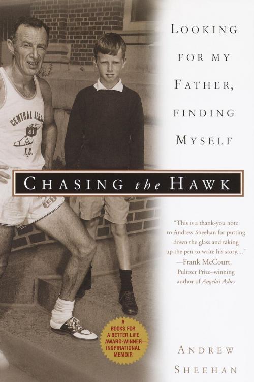 Cover of the book Chasing the Hawk by Andrew Sheehan, Random House Publishing Group