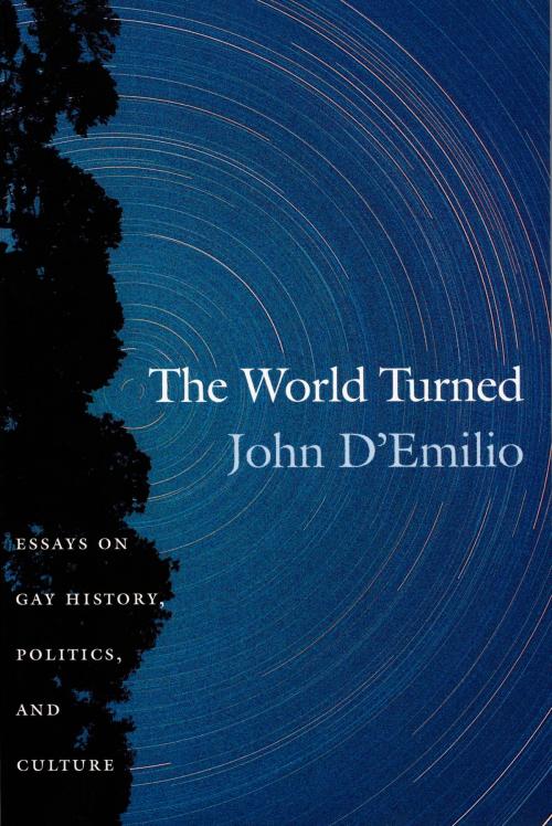 Cover of the book The World Turned by John D'Emilio, Duke University Press