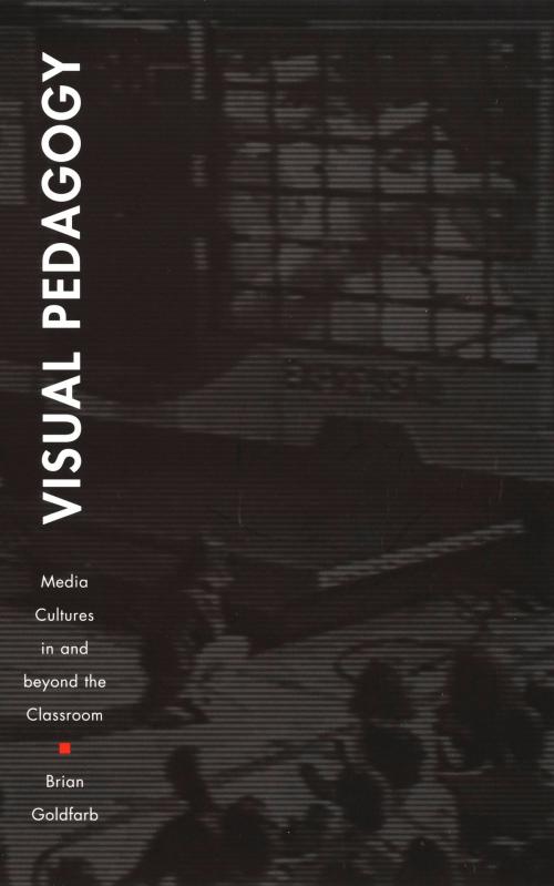 Cover of the book Visual Pedagogy by Brian Goldfarb, Duke University Press