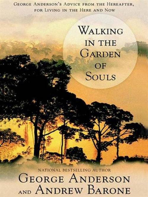 Cover of the book Walking in the Garden of Souls by George Anderson, Andrew Barone, Penguin Publishing Group