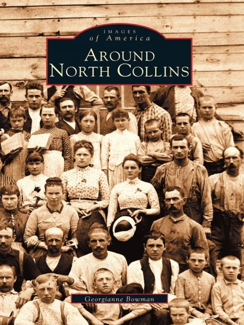 Cover of the book Around North Collins by Georgianne Bowman, Arcadia Publishing Inc.