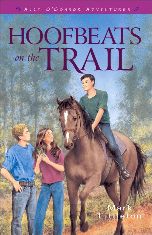 Cover of the book Hoofbeats on the Trail (Ally O’Connor Adventures Book #3) by Mark Littleton, Baker Publishing Group