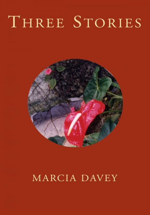 Cover of the book Three Stories by Marcia Davey, Xlibris US