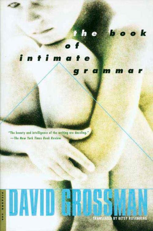 Cover of the book The Book of Intimate Grammar by David Grossman, Farrar, Straus and Giroux