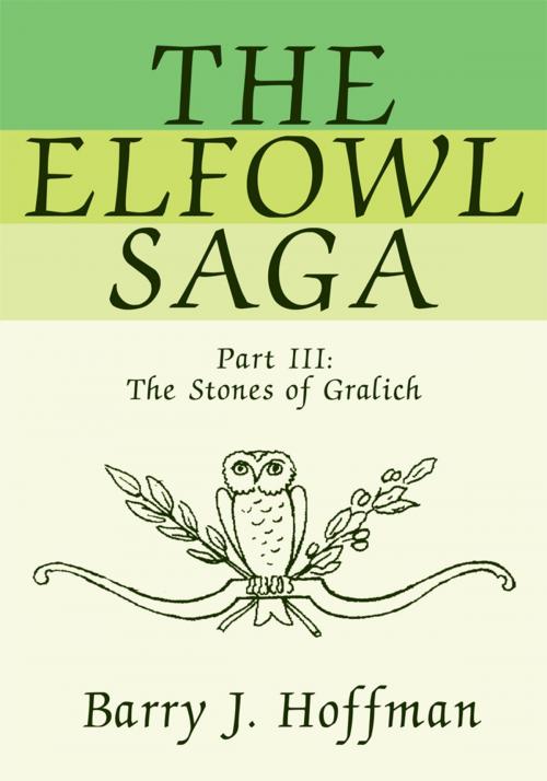 Cover of the book The Elfowl Saga by Barry J. Hoffman, iUniverse