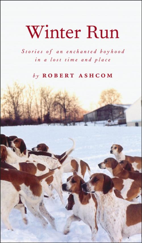 Cover of the book Winter Run by Robert Ashcom, Workman Publishing