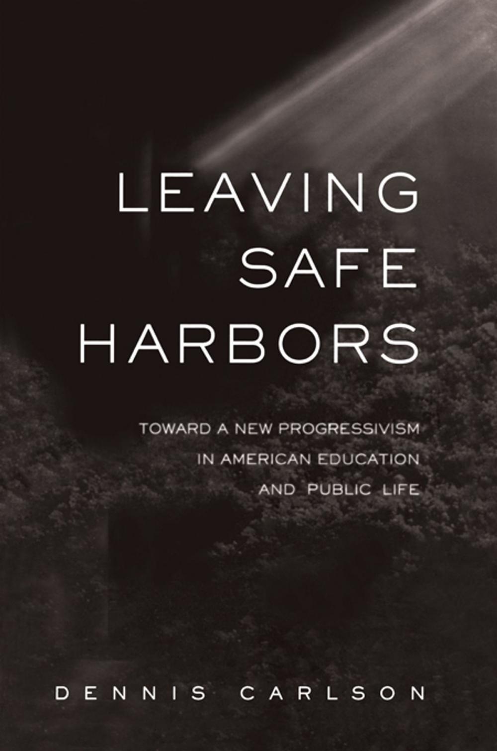 Big bigCover of Leaving Safe Harbors