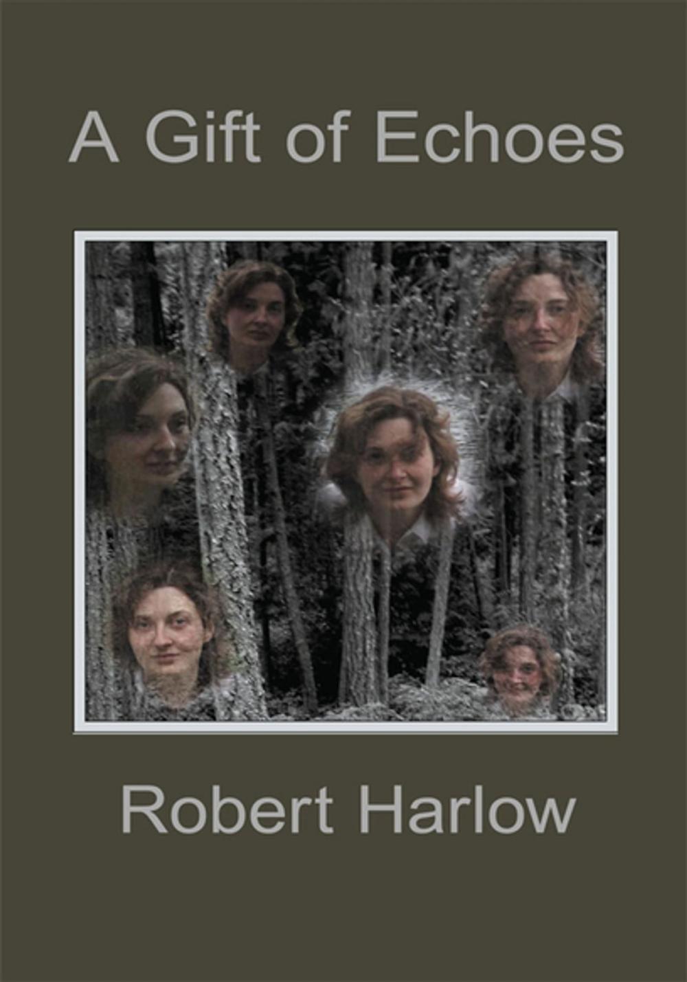 Big bigCover of A Gift of Echoes