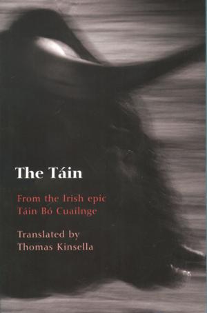 bigCover of the book The T�in: From the Irish epic T�in B� Cuailnge by 