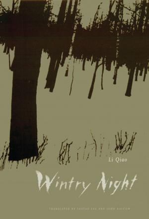 bigCover of the book Wintry Night by 