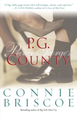 bigCover of the book P. G. County by 
