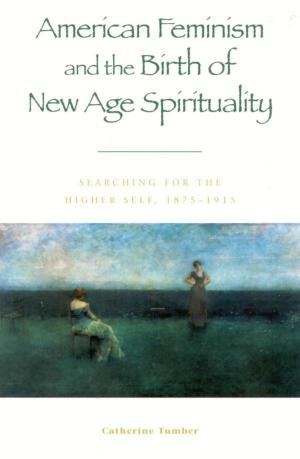 Cover of the book American Feminism and the Birth of New Age Spirituality by Kim M. Thompson, Paul T. Jaeger, Natalie Greene Taylor, John Carlo Bertot, Mega Subramaniam