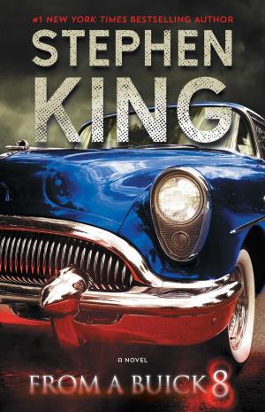 bigCover of the book From a Buick 8 by 