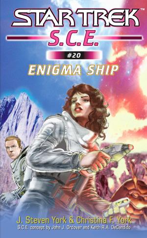 Cover of the book Enigma Ship by Lawrence Klausner