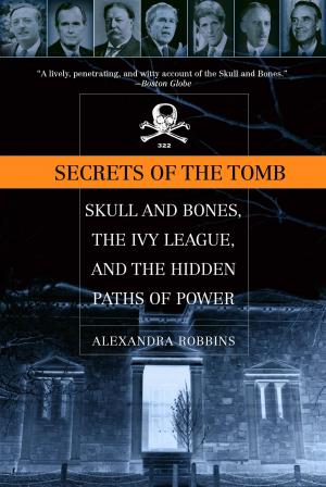 Cover of the book Secrets of the Tomb by Derek Milman