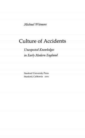 Cover of the book Culture of Accidents by Terence Keel