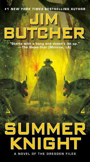Cover of the book Summer Knight by LUSTIG, ROBERT H