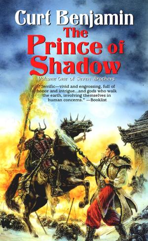 Cover of the book The Prince of Shadow by Jim C. Hines