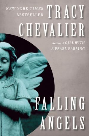 Cover of the book Falling Angels by Sheila McCauley Keys, Eddie B. Allen, Jr.