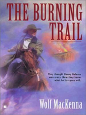 Cover of the book The Burning Trail by Jonathan Santlofer