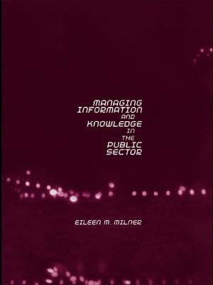 Cover of the book Managing Information and Knowledge in the Public Sector by Dr Christopher Carr