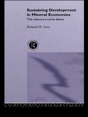 Cover of the book Sustaining Development in Mineral Economies by Daniel Vukovich