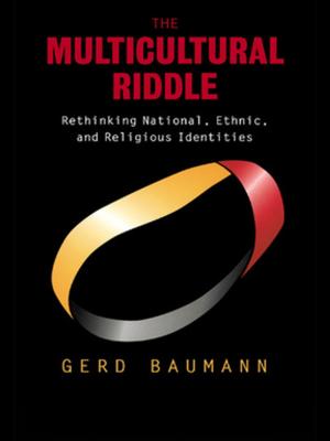 Cover of the book The Multicultural Riddle by Kristen Lee Over