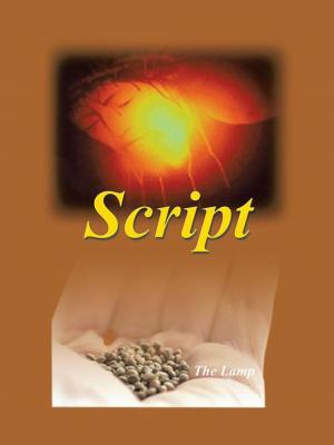 Cover of the book Script by D.W. Anthony