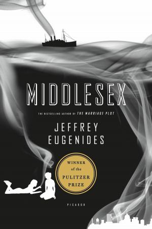 Cover of the book Middlesex by Andrea Canobbio