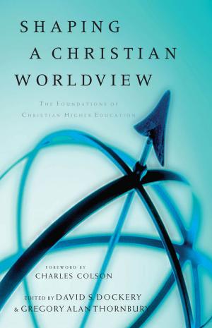 Cover of the book Shaping a Christian Worldview by Lisa-Jo Baker, (in)courage