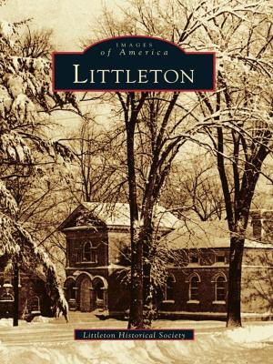 Cover of the book Littleton by Danny Bernstein