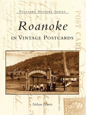 Cover of the book Roanoke in Vintage Postcards by Heather E. Moran, Camden-Rockport Historical Society