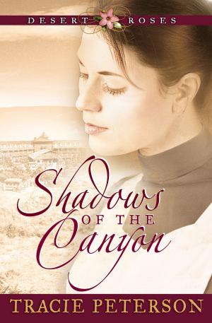 Cover of the book Shadows of the Canyon (Desert Roses Book #1) by A. H. Gabhart