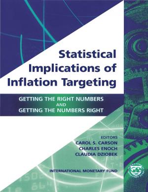 Cover of the book Statistical Implications of Inflation Targeting: Getting the Right Numbers and Getting the Numbers Right by Gea Elika