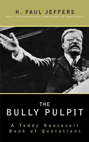 Cover of the book The Bully Pulpit by David Claerbaut
