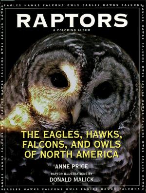 Book cover of Raptors