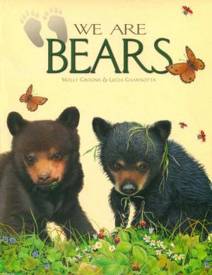 Cover of the book We Are Bears by Heather Irbinskas