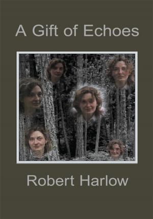 Cover of the book A Gift of Echoes by Errol Shaw