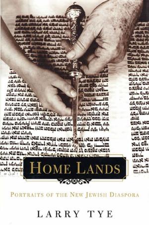 Cover of the book Home Lands by Laurie Blum