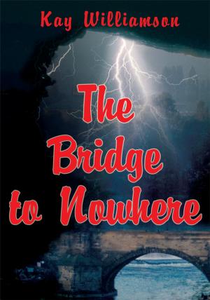 Cover of the book The Bridge to Nowhere by Pamela Haskin