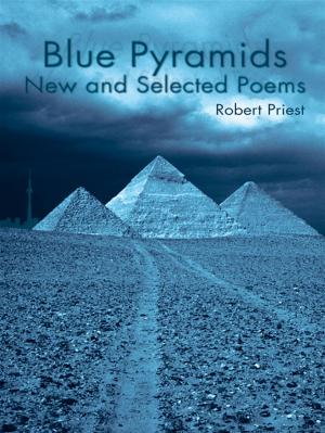 Book cover of Blue Pyramids