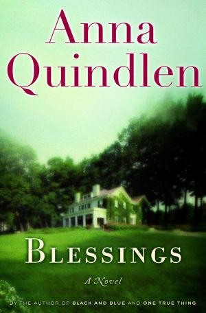 Cover of the book Blessings by Valerie Davis Raskin