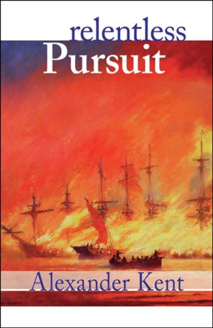 Cover of the book Relentless Pursuit by V. A. Stuart