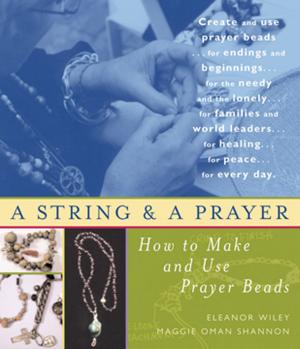 Cover of the book A String and a Prayer by Leonard Willoughby