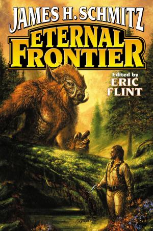 Cover of the book Eternal Frontier by Jody Lynn Lynn