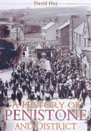 Cover of the book A History of Penistone and District by Maureen Anderson