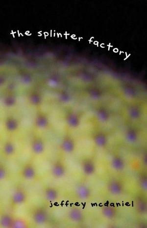 Cover of the book Splinter Factory by Justin Chin